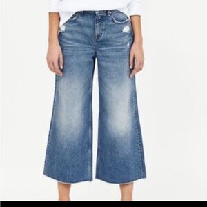Zara High Rise Crop Wide Leg Distressed Jeans Sz 6